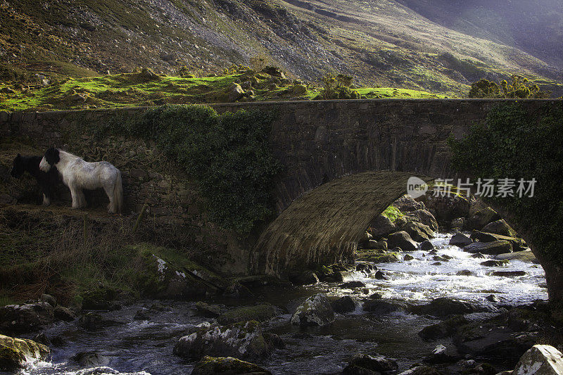 爱尔兰Kerry kilarny的许愿桥缺口